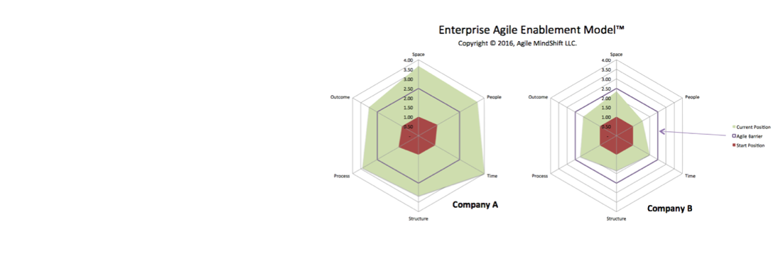 Accelerate Agile Adoption